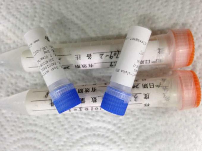 Troponin Ι ανασυνδυαζόμενη μολυσματική ασθένεια αντιγόνων για τη δοκιμή FIA