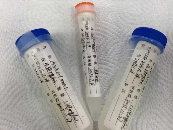 Ποντίκι αντι - HBeAg mab-2 μονοκλονικό αντίσωμα υβριδωμάτων για τη δοκιμή μεμβρανών