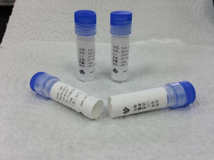 Ιατρικός αντι - βήτα HCG Mab ποντικιών υψηλή ευαισθησία αντισωμάτων ποντικιών μονοκλονική