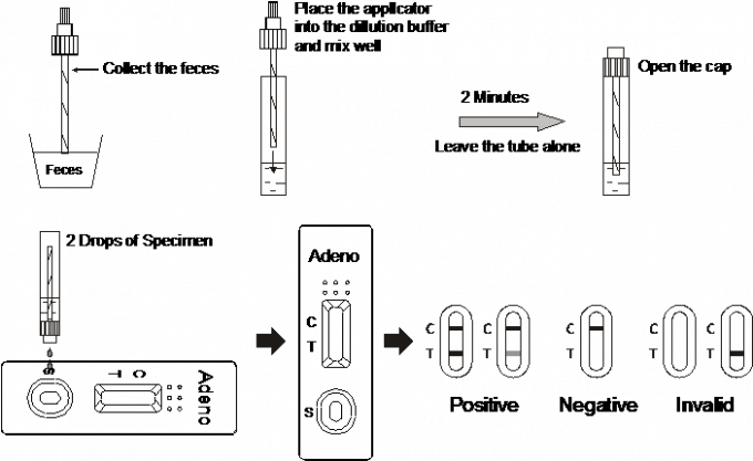 Vibrio κασέτα δοκιμής cholerae O1 (VC O1) γρήγορη (περιττώματα) Με το CE