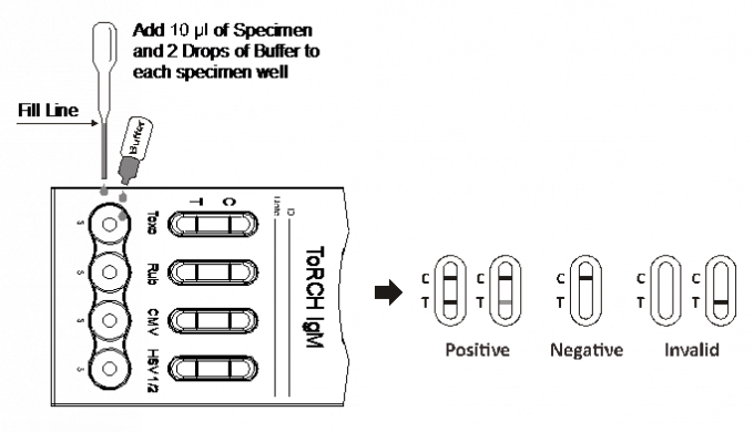 Φανών γρήγορο χρωματογραφικό Immunoassay κασετών δοκιμής IgM Combo γρήγορο