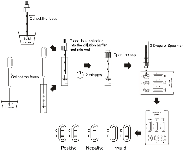 Clostridium difficile GDH + τοξίνη γρήγορα περιττώματα κασετών δοκιμής Α + Β Combo