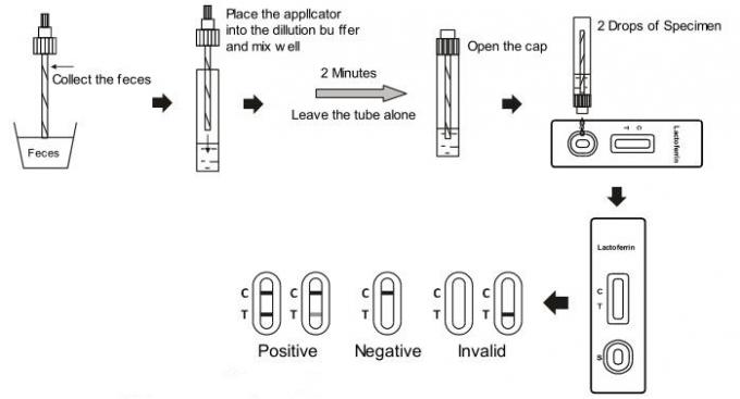 Lactoferrin πλευρική ροής δοκιμής κασέτα δοκιμής λουρίδων γρήγορη στο ανθρώπινο CE περιττωμάτων που περνούν