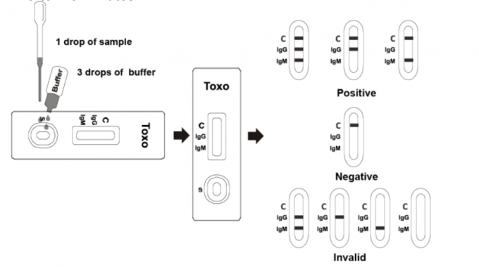 Toxo IgG/γρήγορο ποσοστό ακρίβειας εξαρτήσεων δοκιμής κασετών αντισωμάτων IgM υψηλό