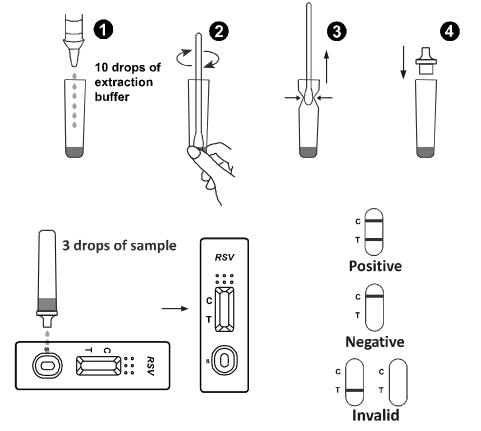 Ποιοτική γρήγορη δοκιμή δοκιμών Immunochromatographic ροής ανίχνευσης πλευρική για το αναπνευστικό Syncytial αντιγόνο ιών