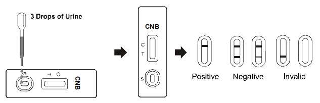 Cannabinol CNB γρήγοροι κασέτα/μετρητής στάθμης/επιτροπή δοκιμής εξαρτήσεων δοκιμής κατάχρησης ναρκωτικών ουσιών στα ούρα