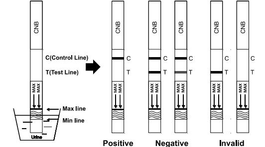 Cannabinol CNB γρήγοροι κασέτα/μετρητής στάθμης/επιτροπή δοκιμής εξαρτήσεων δοκιμής κατάχρησης ναρκωτικών ουσιών στα ούρα