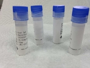 anti - Buprenorphine Mouse Custom Monoclonal Anti body Drug of Abuse for Vitro Research