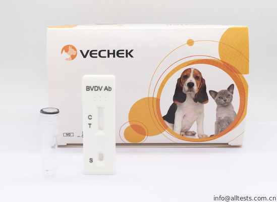 Good price Γρήγορη κασέτα δοκιμής αντιγόνων Bvdv/μόνη εξεταστική εξάρτηση 24 μήνες ραφιών χρονικοί σε απευθείας σύνδεση
