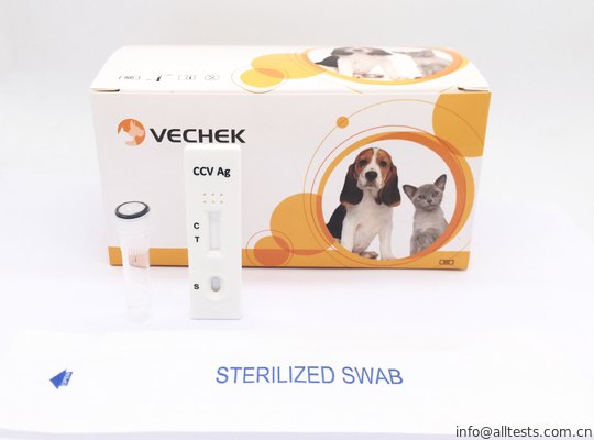 Good price Κυνοειδείς Coronavirus (Ccv) εξαρτήσεις δοκιμής αντιγόνων γρήγορες βασισμένες στο σχήμα σάντουιτς εύκολο και κατάλληλο σε απευθείας σύνδεση