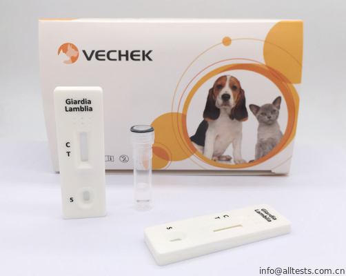 Good price Ακριβείς Giardia αντιγόνων εξαρτήσεις δοκιμής κασετών γρήγορες βασισμένες στο σχήμα σάντουιτς σε απευθείας σύνδεση