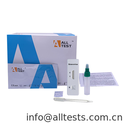 Good price Έντεροϊσογενής αντιγόνος ταχεία δοκιμή; σε απευθείας σύνδεση